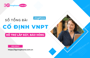 tong dai vnpt dien thoai co dinh