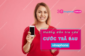 tra cuu cuoc tra sau vinaphone