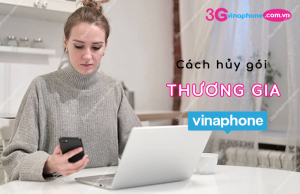 hủy gói Thương gia VinaPhone