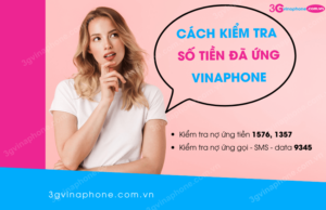 cach kiem tra so tien da ung vinaphone