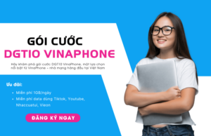 goi cuoc dgt10 cua vinaphone