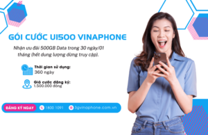 goi cuoc u1500 vinaphone