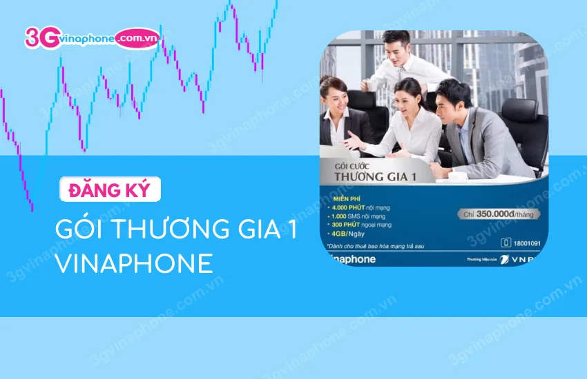 Thuong gia 1 VinaPhone