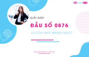 0876 là mạng gì