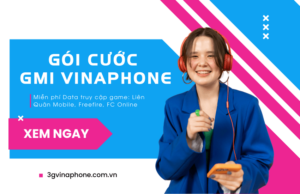 goi cuoc gm1 cua vinaphone