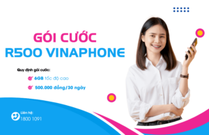 goi cuoc r500 vinaphone