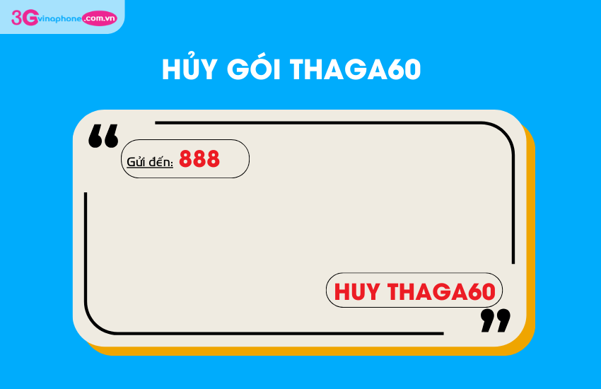 huy goi thaga60 vina