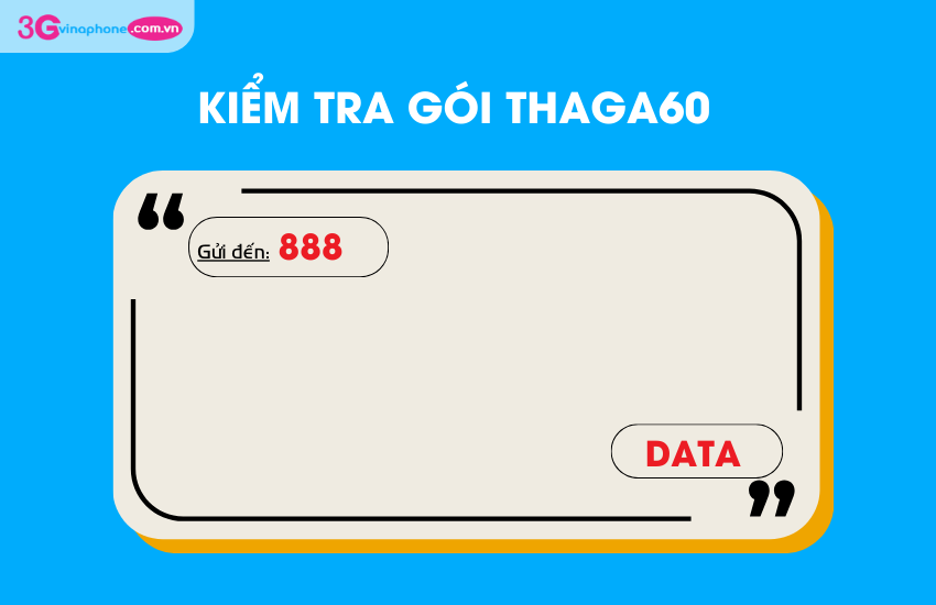 kiem tra goi thaga60 vina