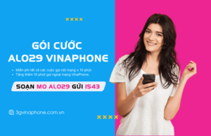 goi cuoc alo29 vinaphone