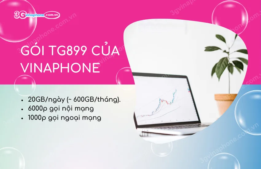 Goi TG899 cua VinaPhone