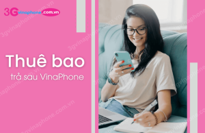 thue bao tra sau vinaphone