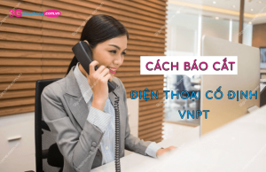 bao cat dien thoai co dinh vnpt