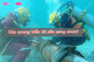 cap quang bien sua xong chua