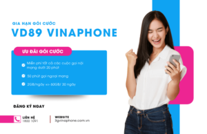 gia han goi cuoc vd89 vinaphone