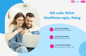 goi cuoc tiktok vinaphone