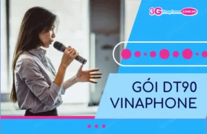 Goi DT90 VinaPhone