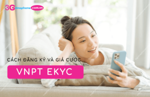 vnpt ekyc