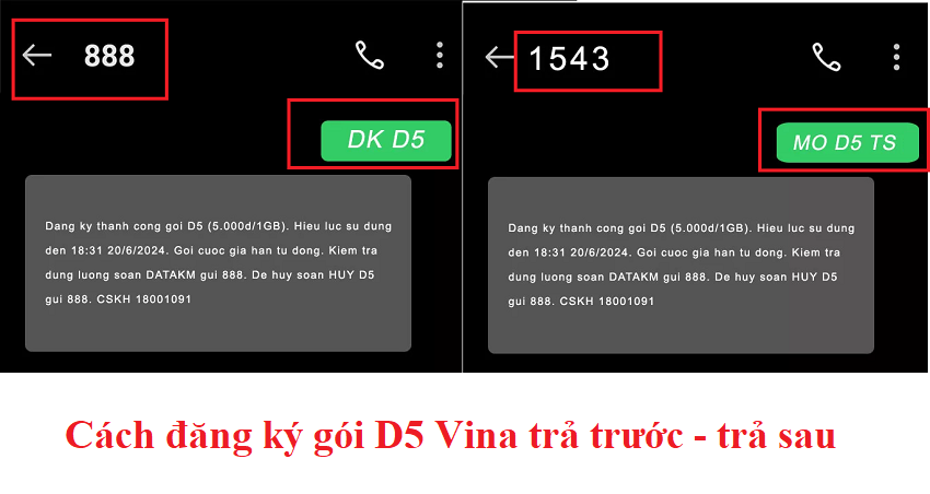 dang ky d5 vina