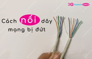 cach noi day mang bi dut