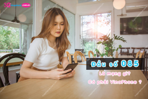 dau so 085 la mang gi