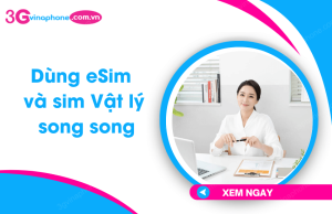 dung esim va sim vat ly song song