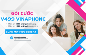 goi cuoc v499 vinaphone