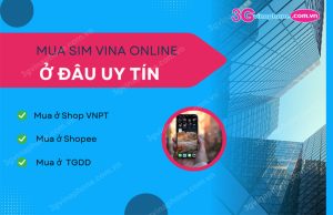 mua sim vinaphone online o dau