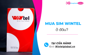 mua sim wintel o dau