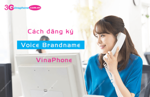 voice brandname vinaphone