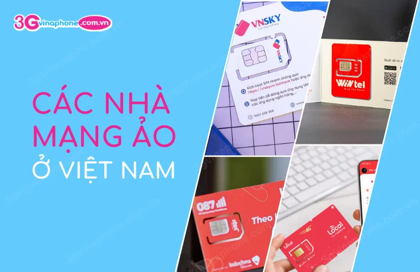 Cac nha mang ao o Viet Nam