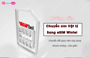 chuyen sim vat ly sang esim wintel