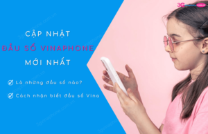 các đầu số vinaphone mới nhất