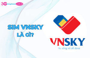 sim vnsky la gi