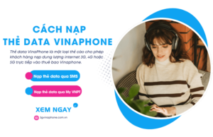nap the data vinaphone