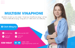 dang ky multisim vinaphone