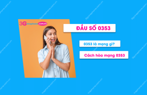 dau so 0353 la mang gi