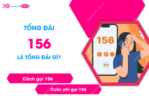 tong dai 156 la gi