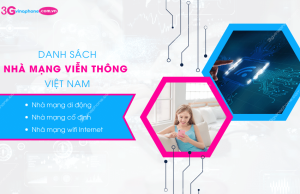 cac nha mang vien thong o viet nam