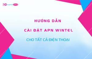 cai dat apn wintel