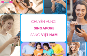 chuyen vung singapore sang viet nam