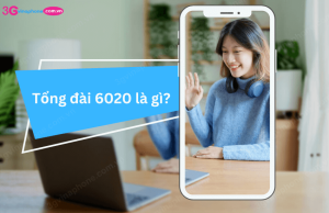 tong dai 6020 la gi