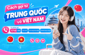 cach goi tu trung quoc ve viet nam