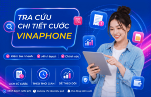 tra cuu chi tiet cuoc vinaphone