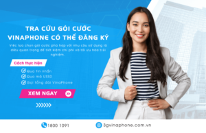 tra cuu goi cuoc vinaphone co the dang ky