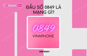 Dau so 0849 la mang gi