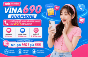 goi cuoc vina690 vinaphone