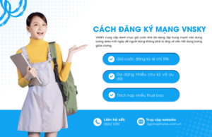 cach dang ky mang vnsky