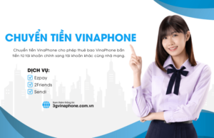 chuyen tien vinaphone