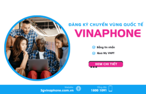 dang ky chuyen vung quoc te vinaphone