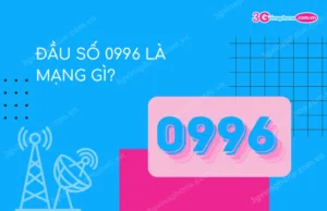 Dau so 0996 la mang gi